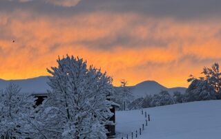 Neues Jahr und Vorsätze