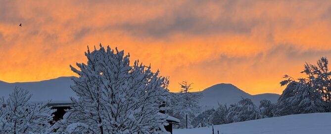 Neues Jahr und Vorsätze