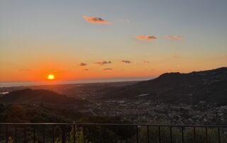 Übergänge in der Natur und im Leben